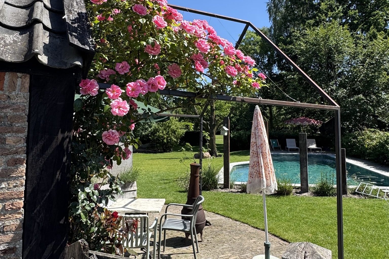 Roze klimrozen bij het terras van het Bakhuisje met zicht op het zwembad