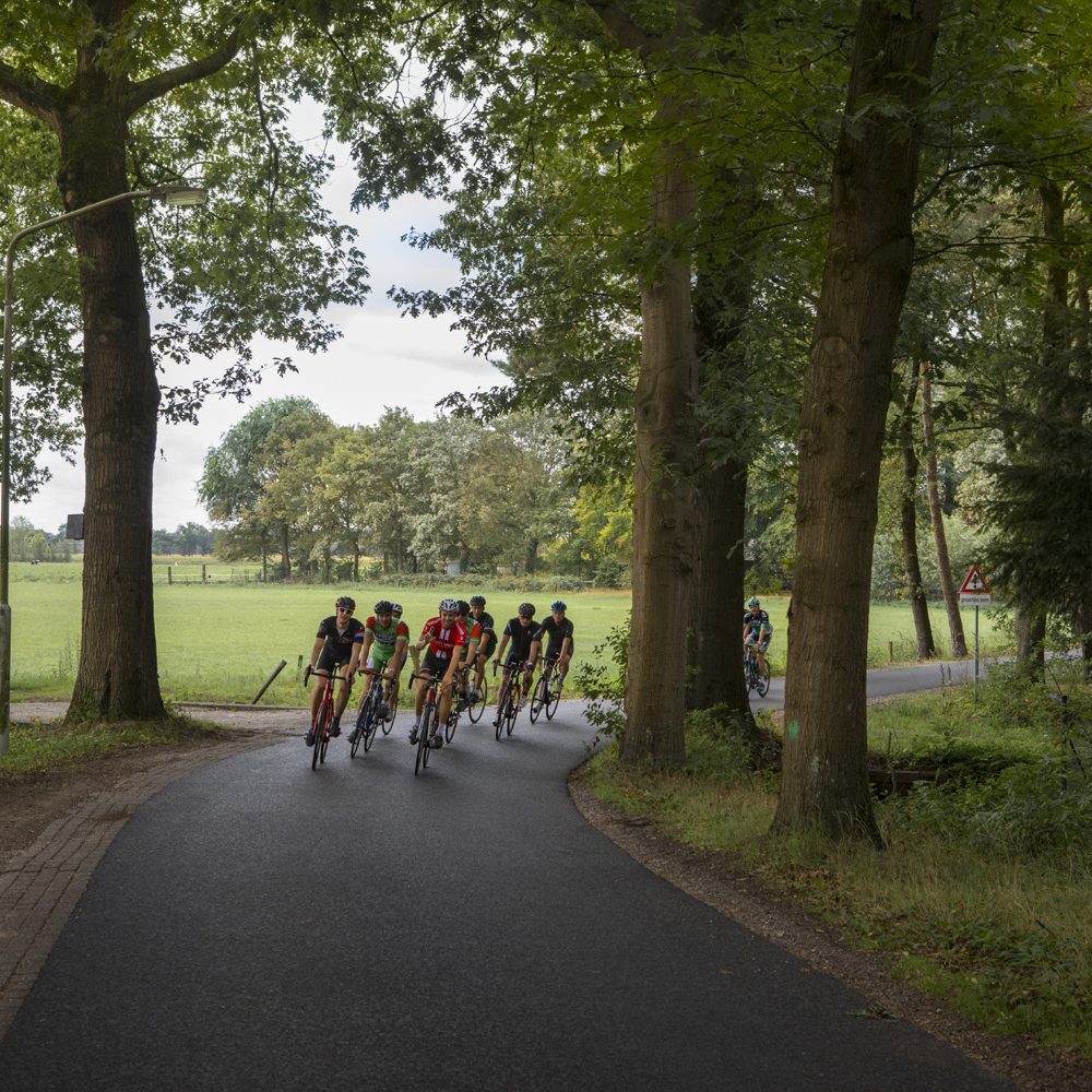 Fietspeloton fietst door groene omgeving